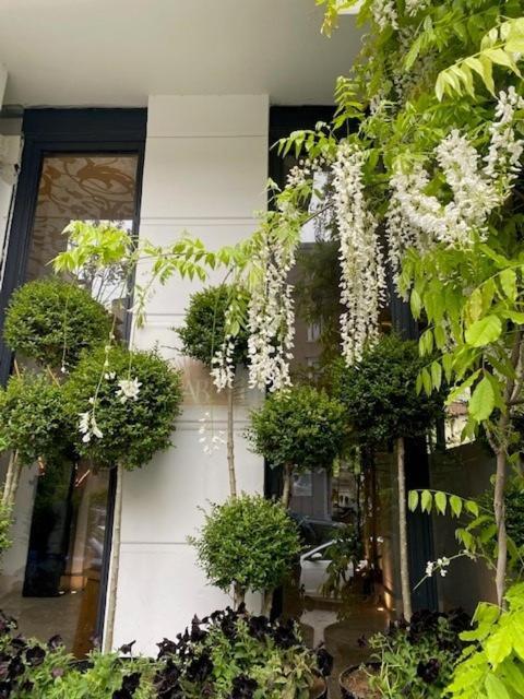 Ab Residences -Cihangir Luxury Antique Apartment Istanbul Exteriör bild